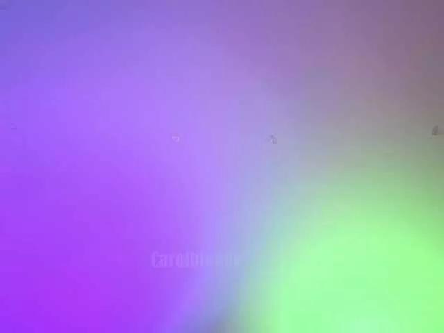 Charlotte-glasses on BongaCams