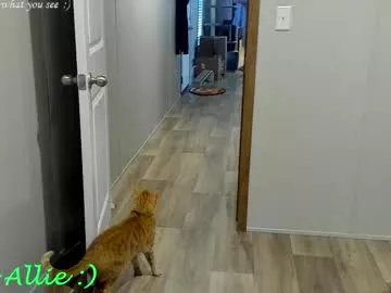 Freechat allie__kat on Chaturbate