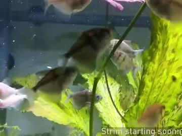 booker_baxton on Chaturbate 