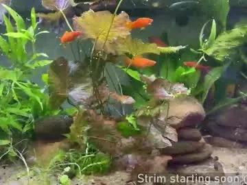 booker_baxton on Chaturbate 