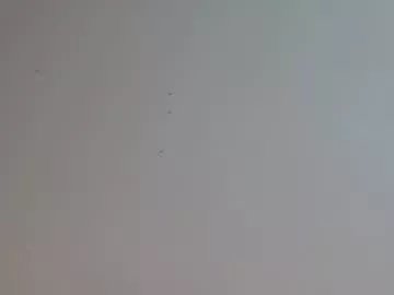 Freechat engiel_phoenix on Chaturbate