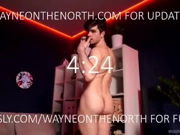 waynenorth from Chaturbate