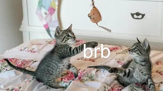 Masturbate to 23 years old Pink_girl0n from StripChat Pink_girl0n from StripChat